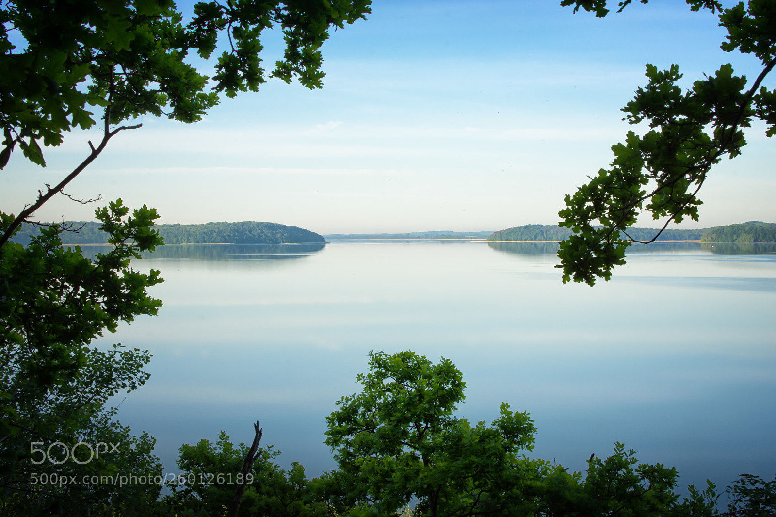 Nikon D7200 sample photo. 1804_003.jpg photography