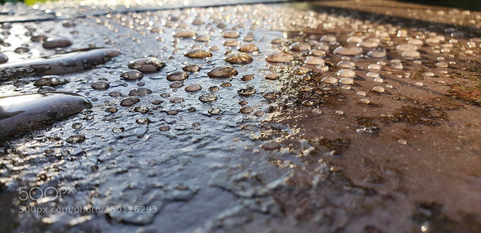 Samsung Galaxy S9+ sample photo. Untitled photography