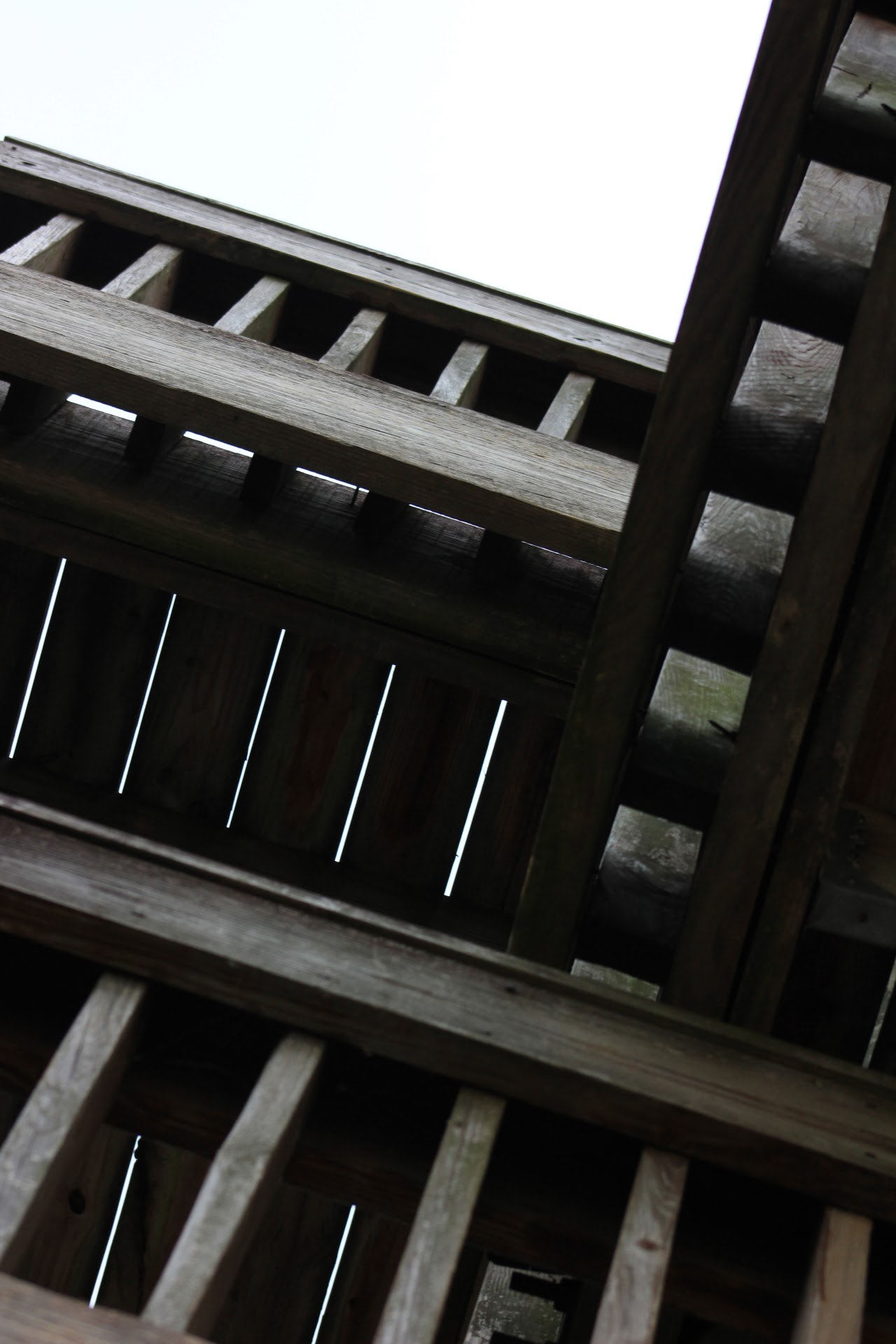 Canon EF 75-300mm f/4-5.6 sample photo. Come on up photography