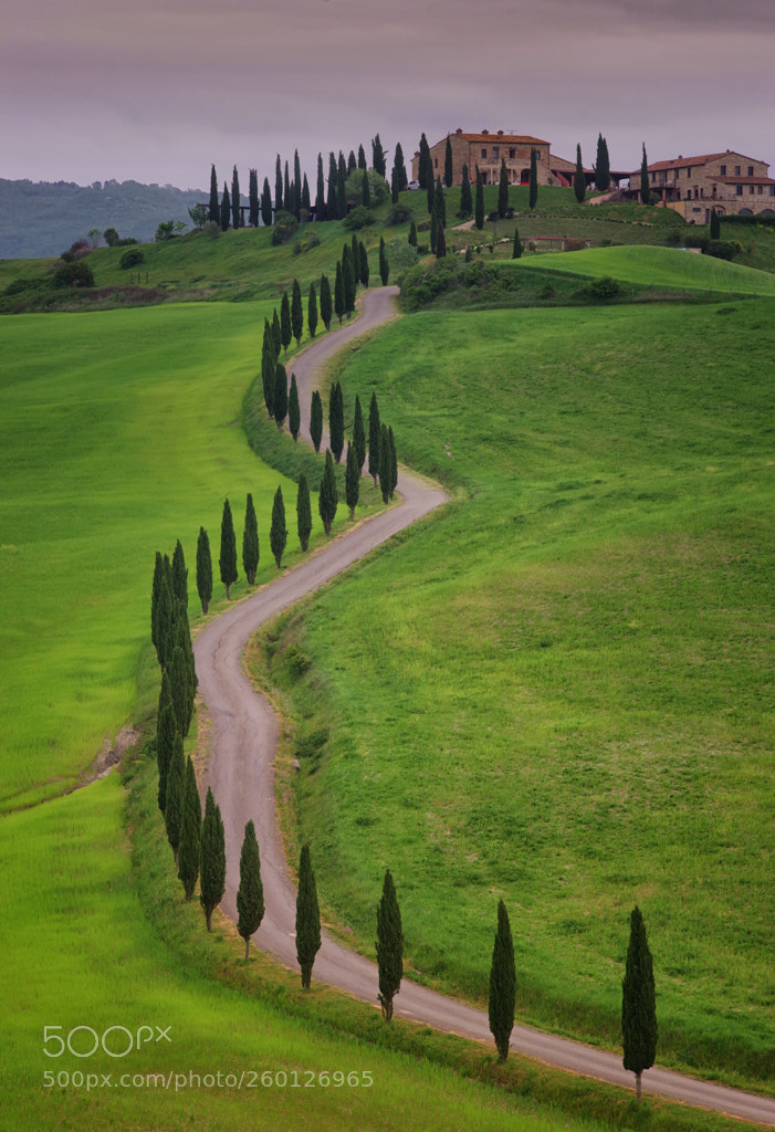 Pentax K-1 sample photo. Tuscany road photography