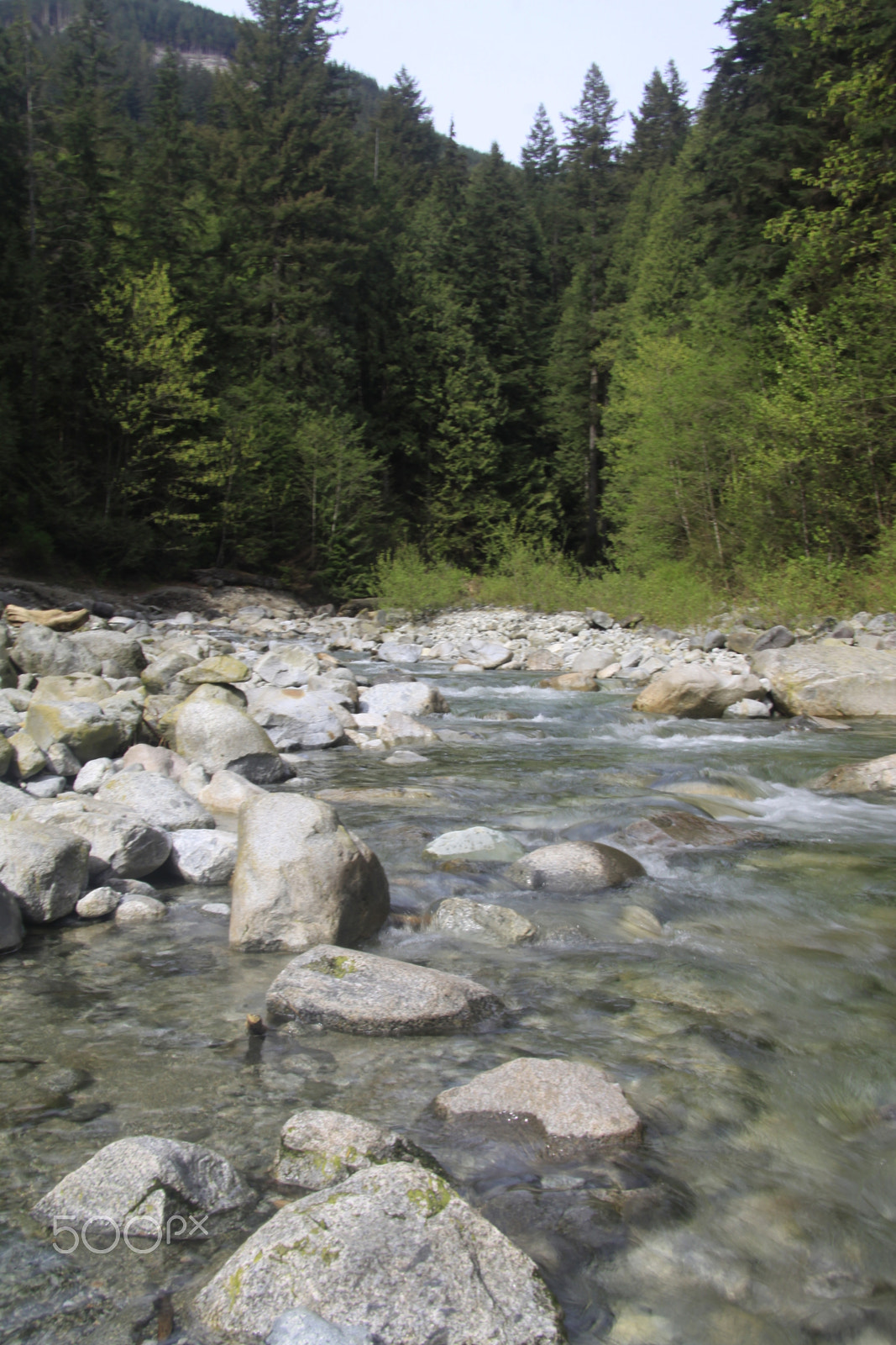 Canon EF-S 17-85mm F4-5.6 IS USM sample photo. River photography
