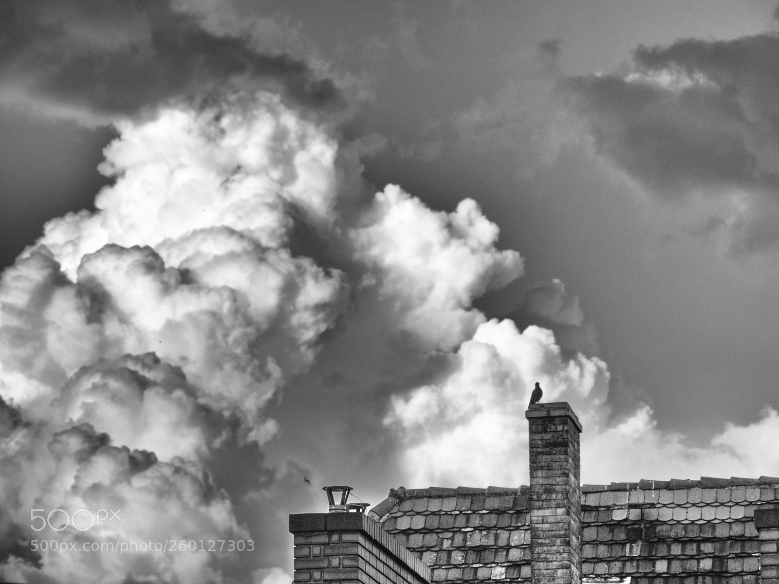 Olympus OM-D E-M1 Mark II sample photo. Clouds #1 photography