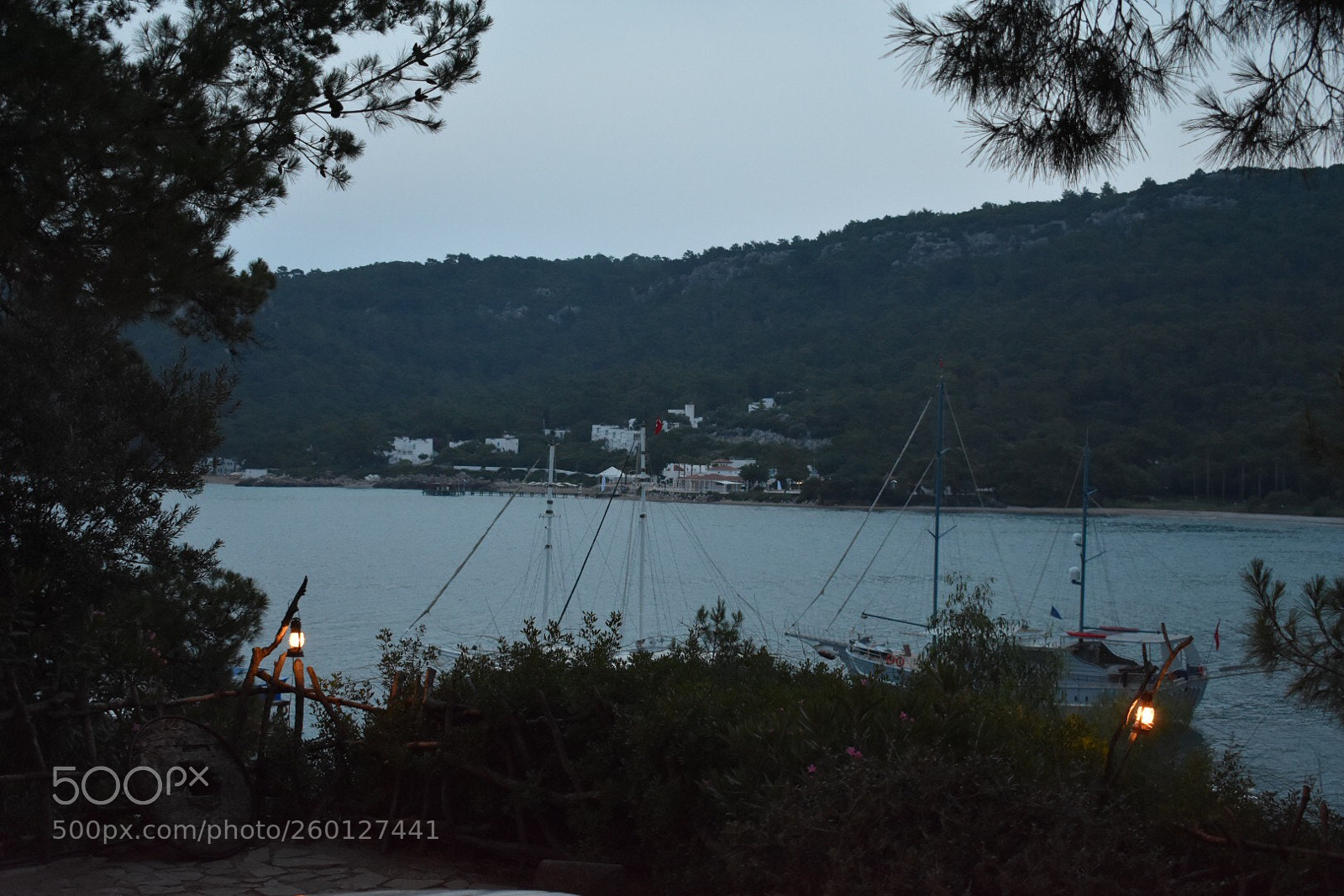 Nikon D3400 sample photo. Untitled photography