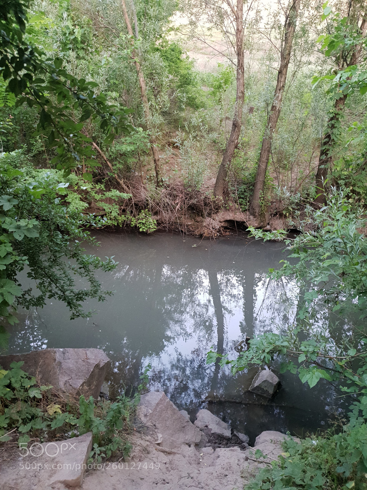 Samsung Galaxy S9 sample photo. Untitled photography