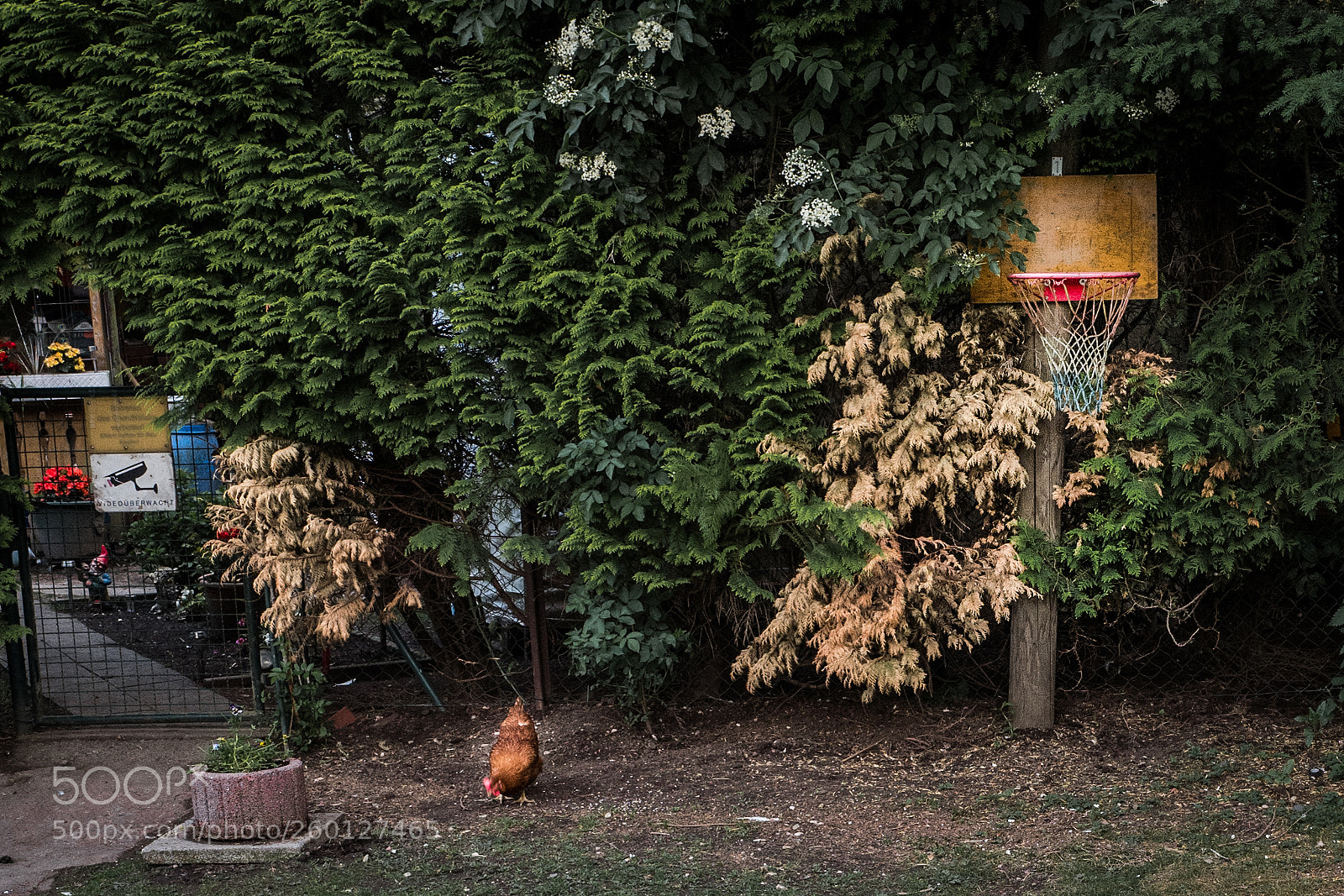Leica Q (Typ 116) sample photo. Probably not the 'biggest photography