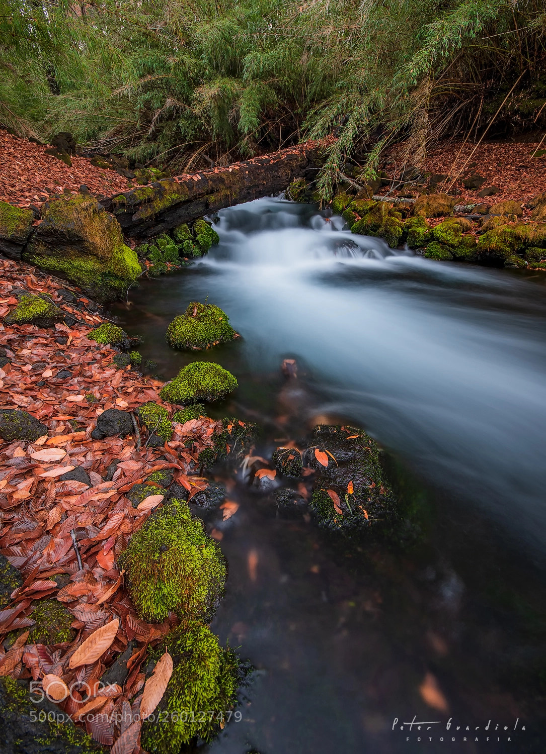 Nikon D500 sample photo. River photography