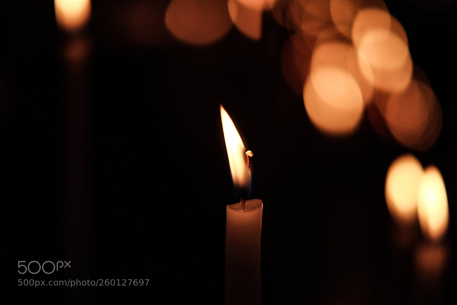 Fujifilm X-T10 sample photo. Untitled photography