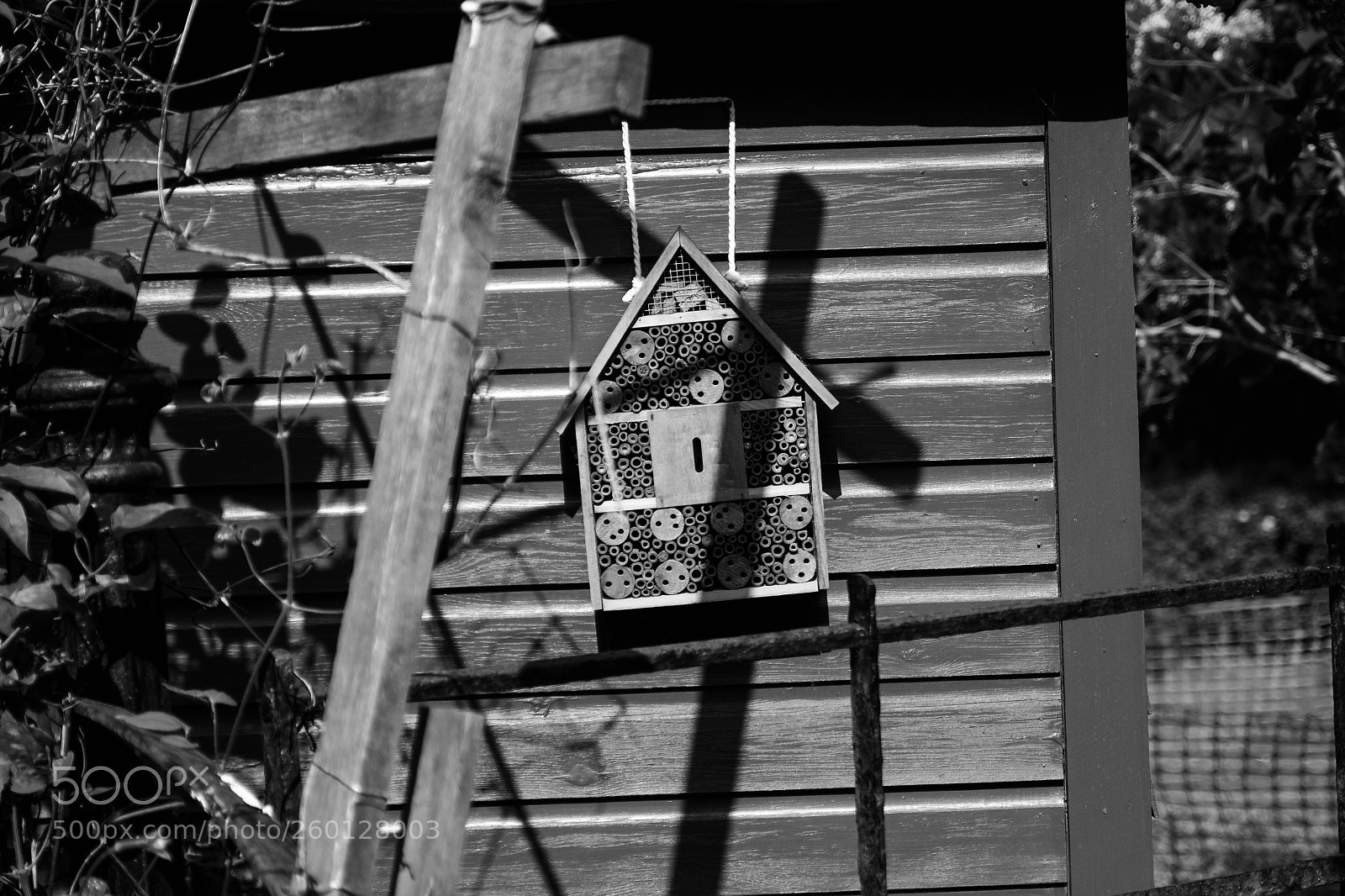 Canon EOS 650D (EOS Rebel T4i / EOS Kiss X6i) sample photo. Honey i'm home (150/365) photography