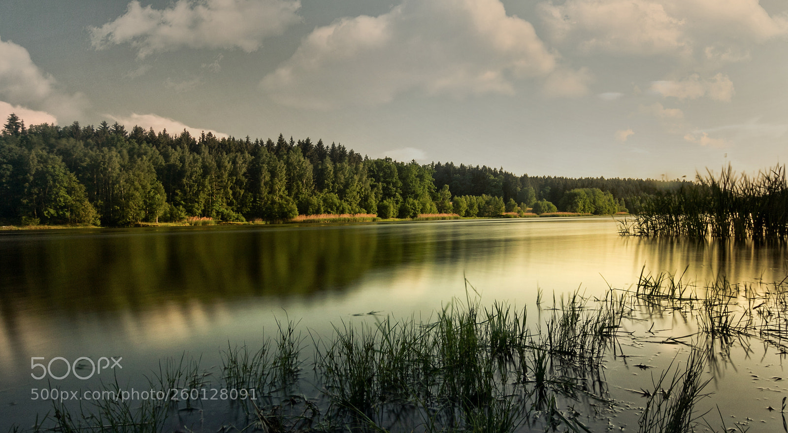 Canon EOS 60D sample photo. Evening silence on lake photography