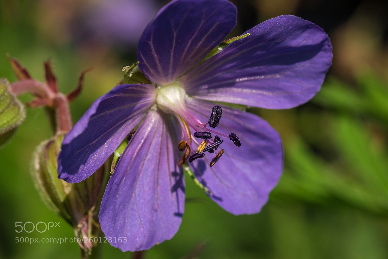 Fujifilm X-T1 sample photo. Light on photography