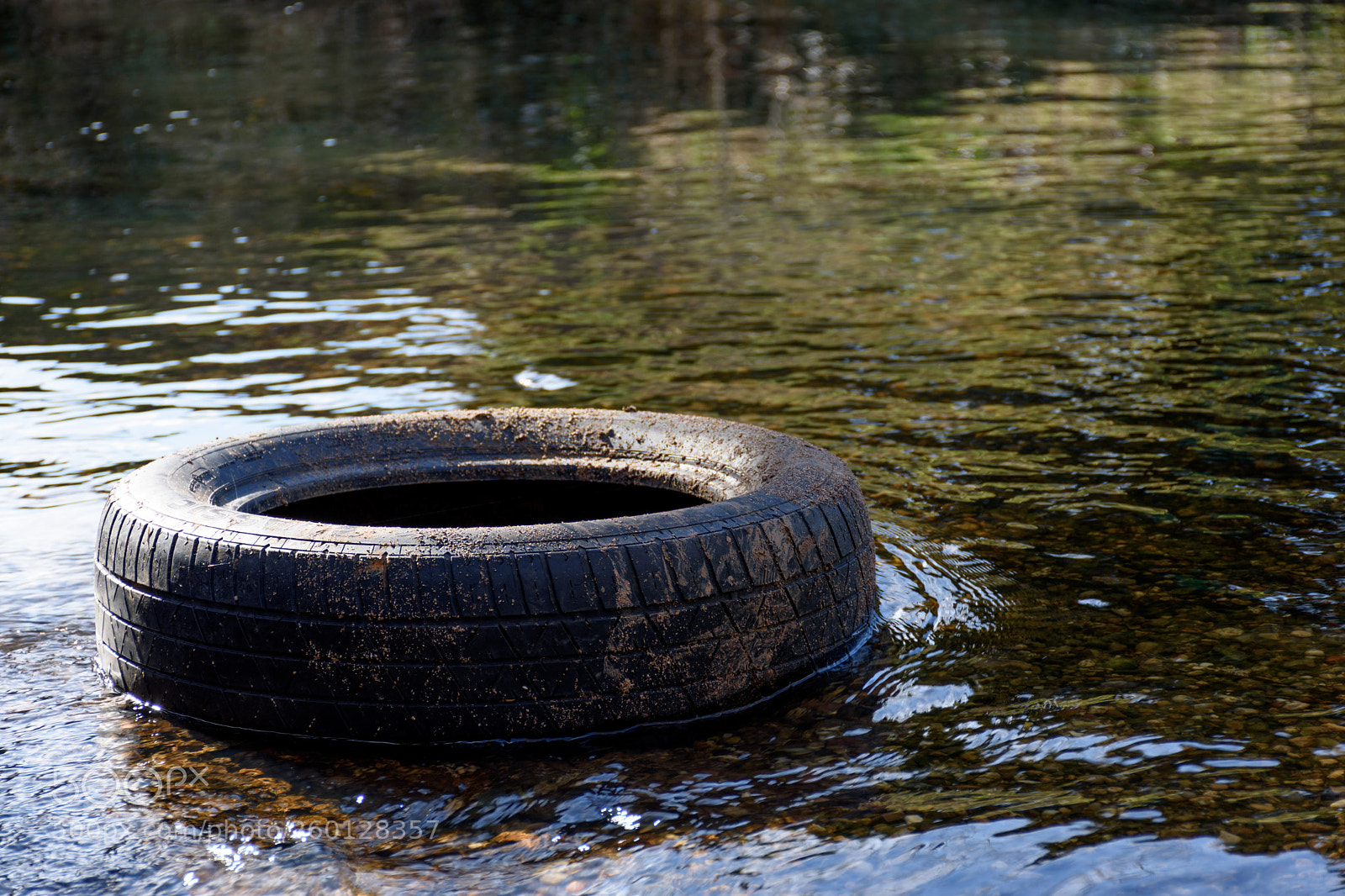 Nikon D7200 sample photo. At rest photography