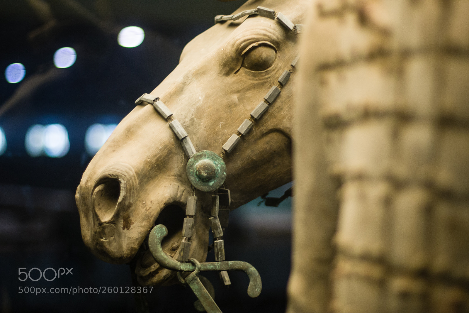 Canon EOS 40D sample photo. Terracotta horse, xi'an photography
