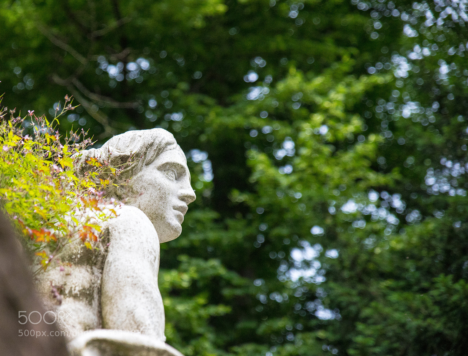 Canon EOS 6D Mark II sample photo. Apollo's muse photography