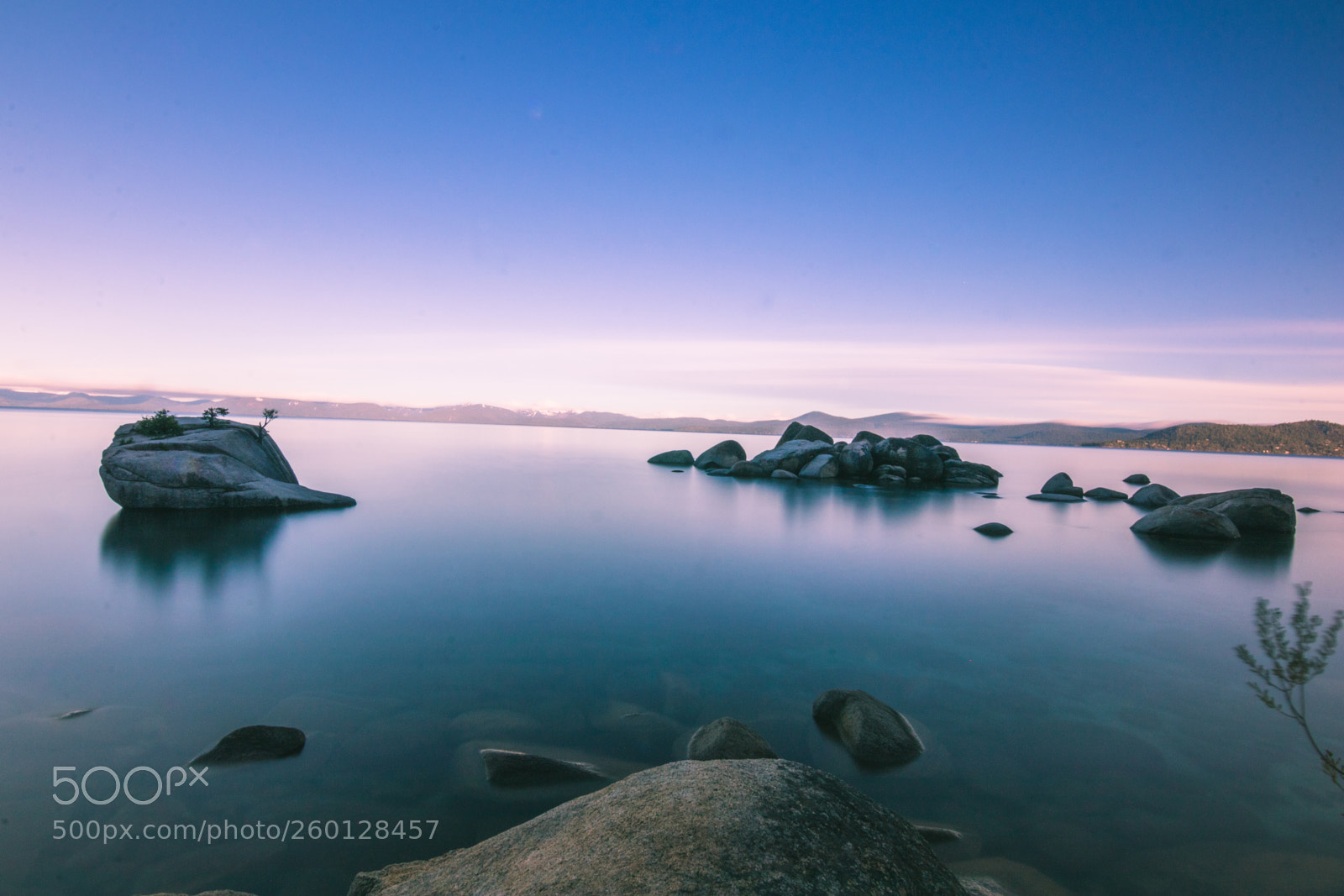 Canon EOS 80D sample photo. Bonsai rock photography