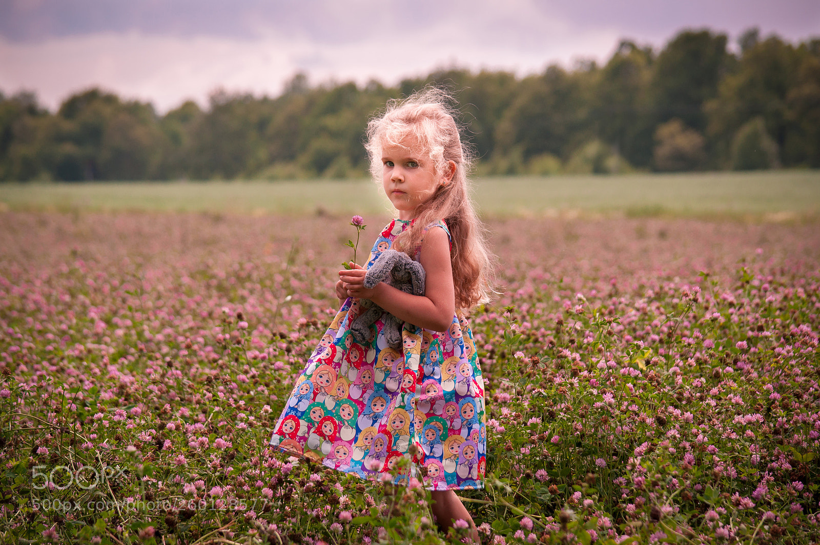 Nikon D5000 sample photo. Field with flowers photography