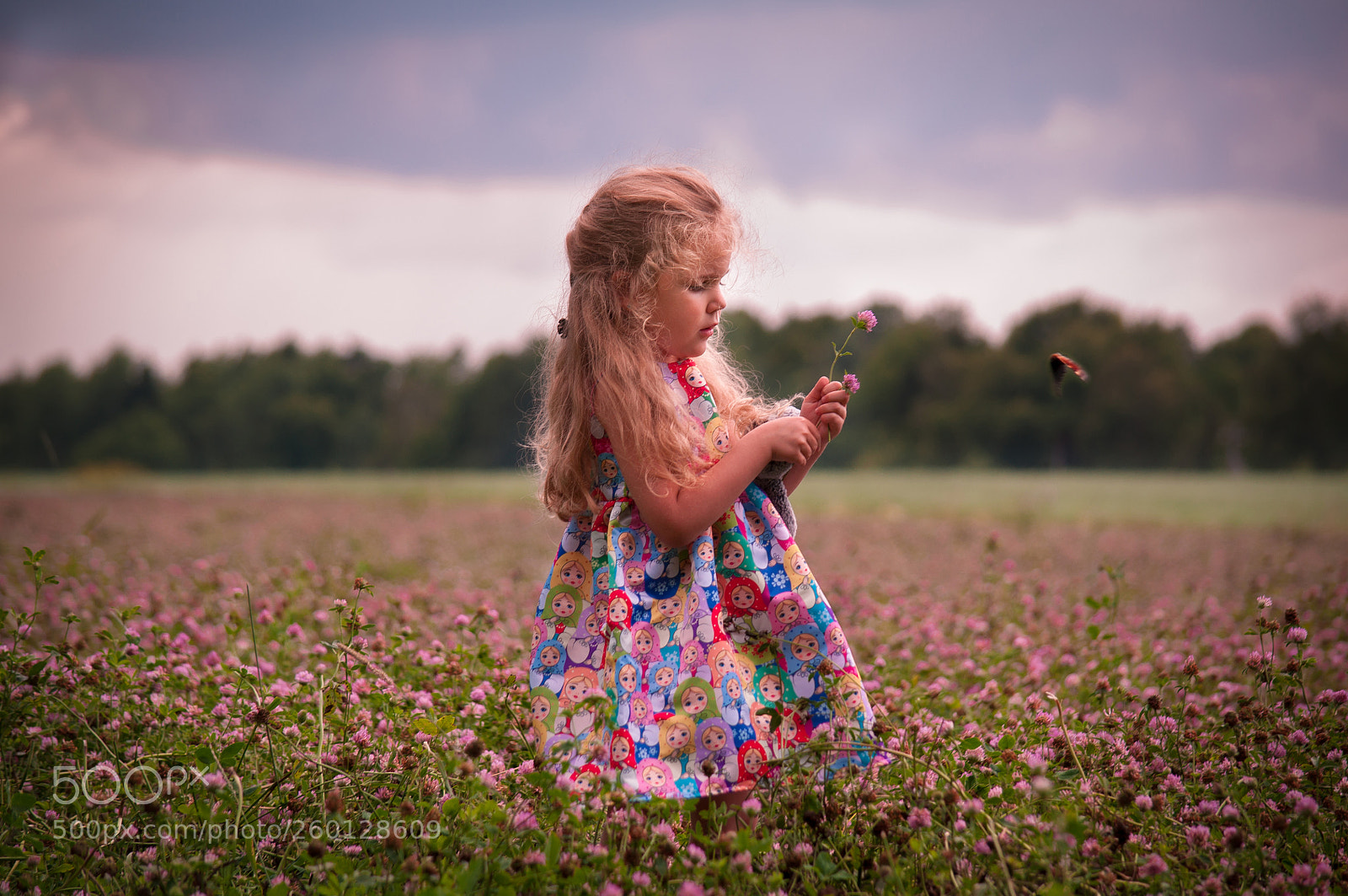 Nikon D5000 sample photo. Field with flowers photography
