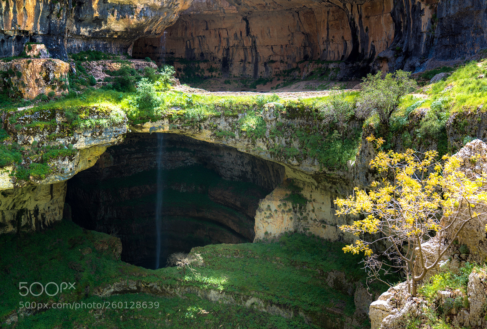Sony a7R II sample photo. Green waterfall photography
