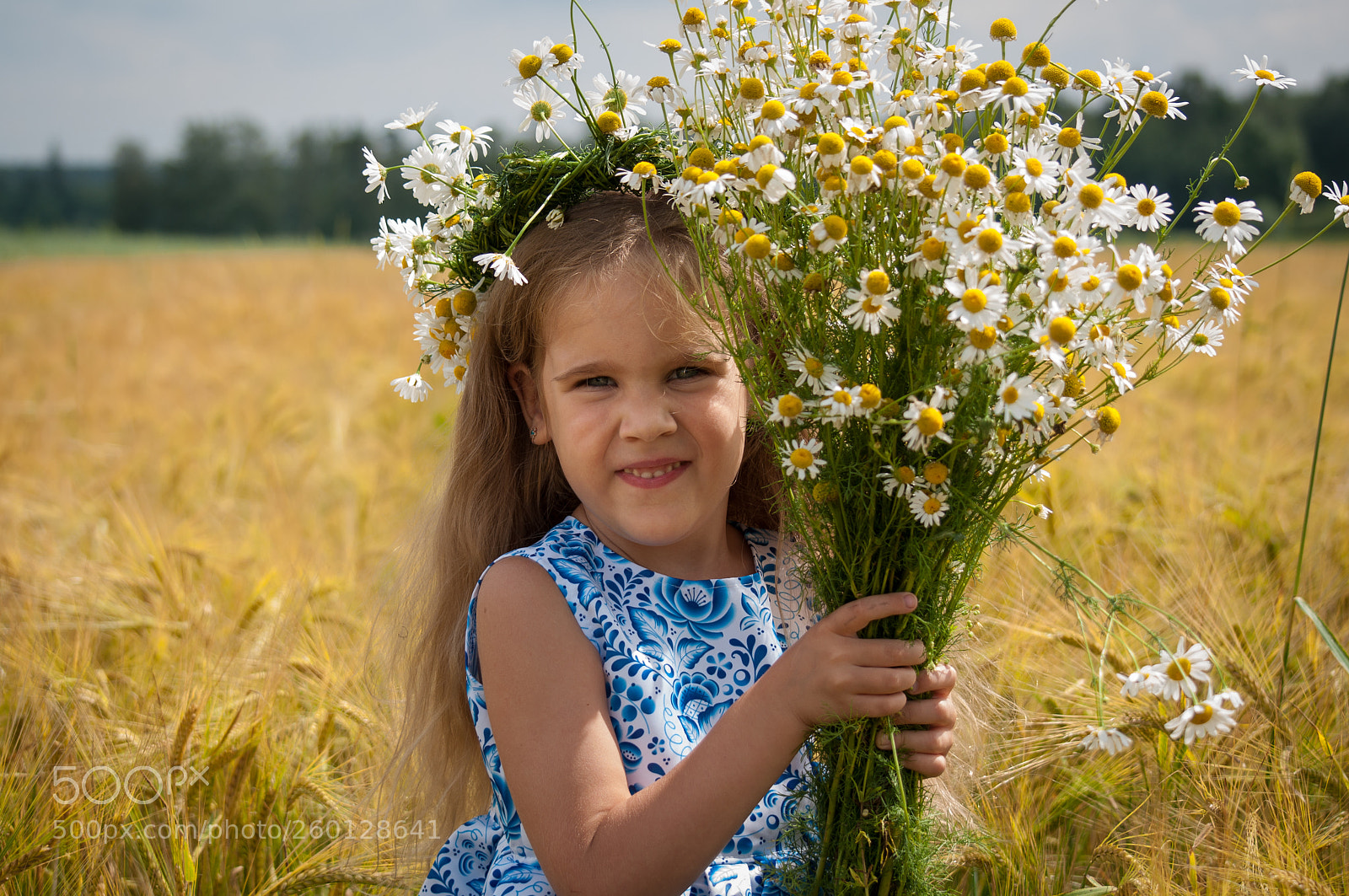 Nikon D5000 sample photo. Field with flowers photography
