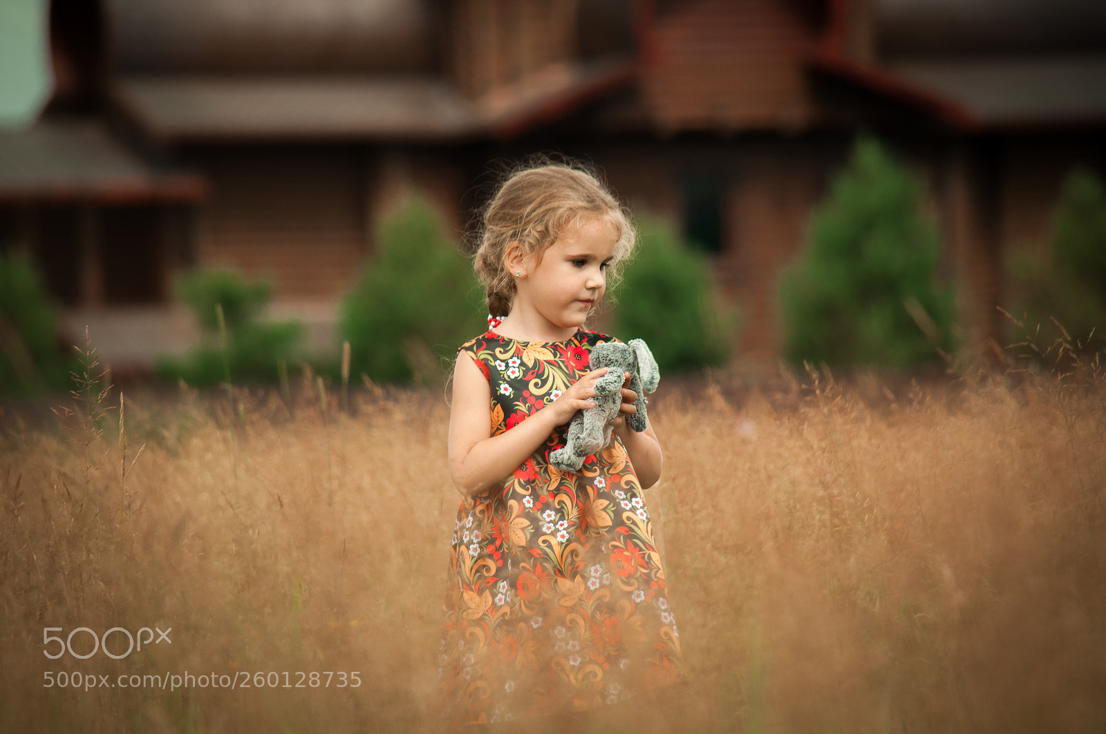 Nikon D5000 sample photo. Field with flowers photography