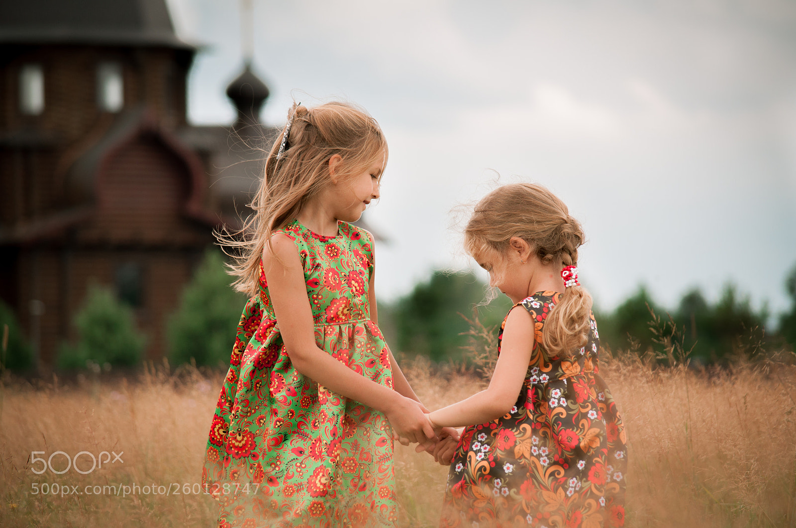 Nikon D5000 sample photo. Field with flowers photography