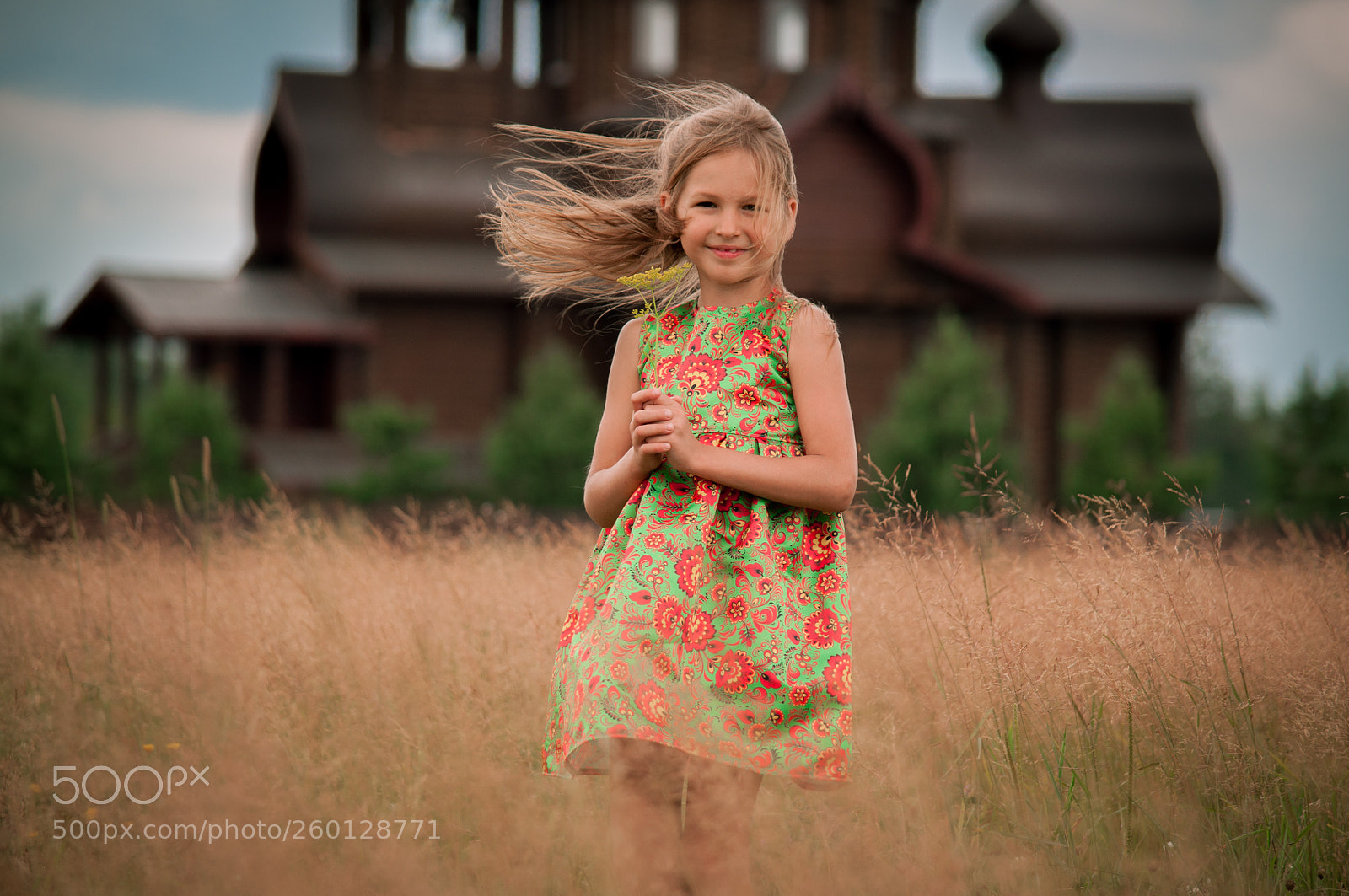 Nikon D5000 sample photo. Field with flowers photography