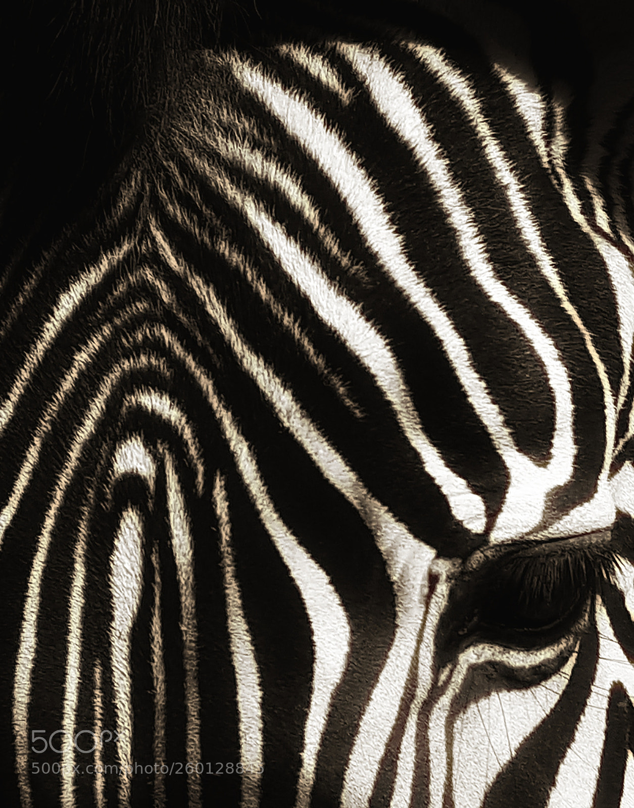 Samsung Galaxy S6 sample photo. Stripes photography