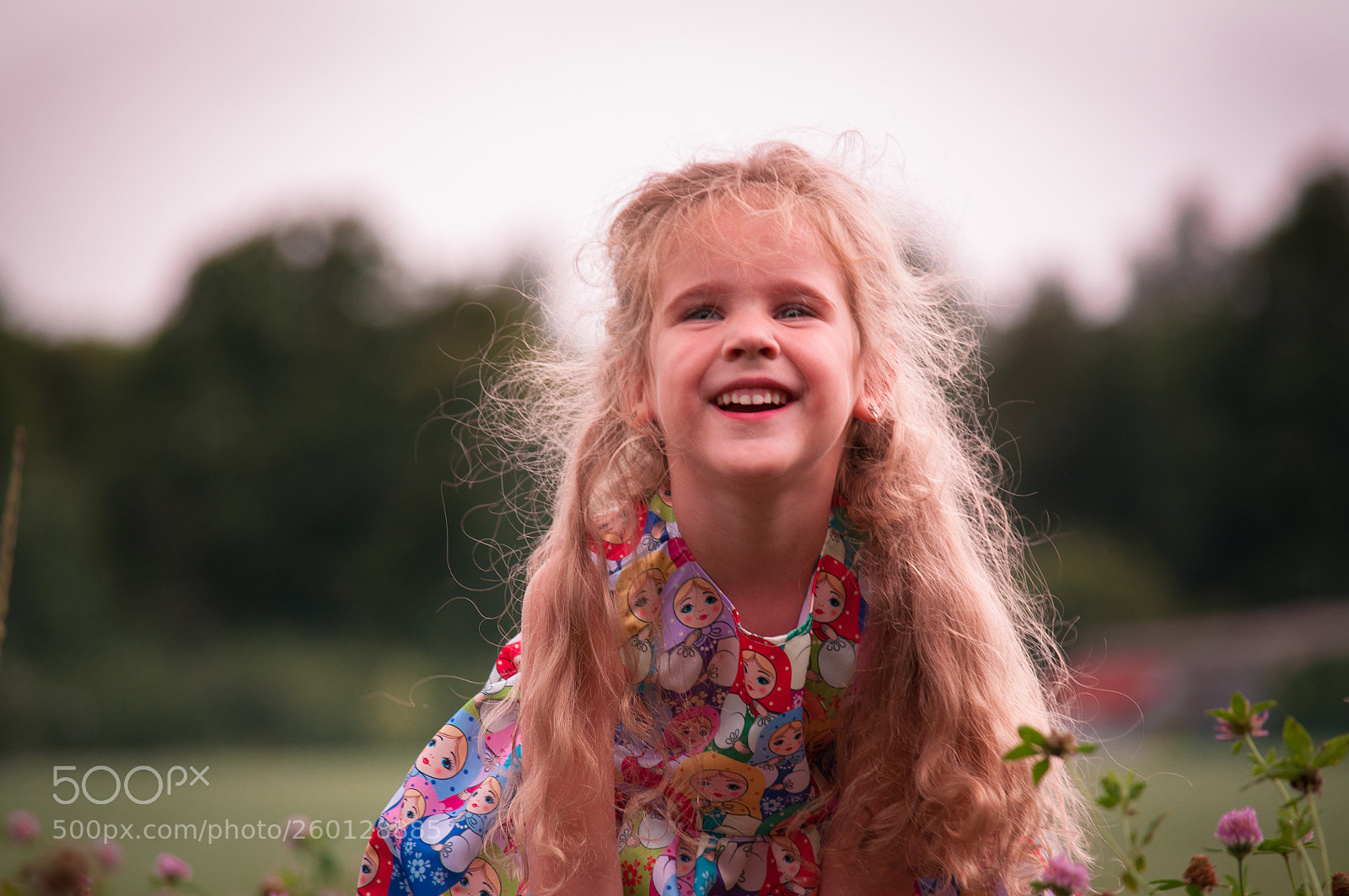 Nikon D5000 sample photo. Field with flowers photography