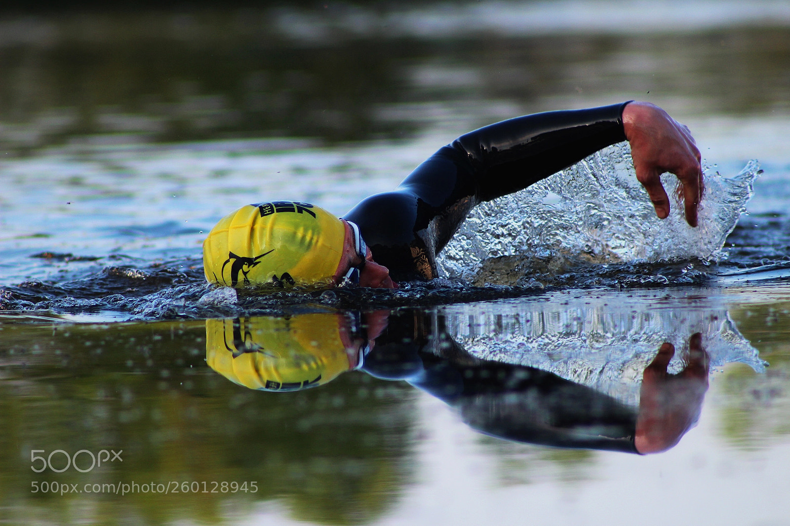 Canon EOS 600D (Rebel EOS T3i / EOS Kiss X5) sample photo. Swimmer photography