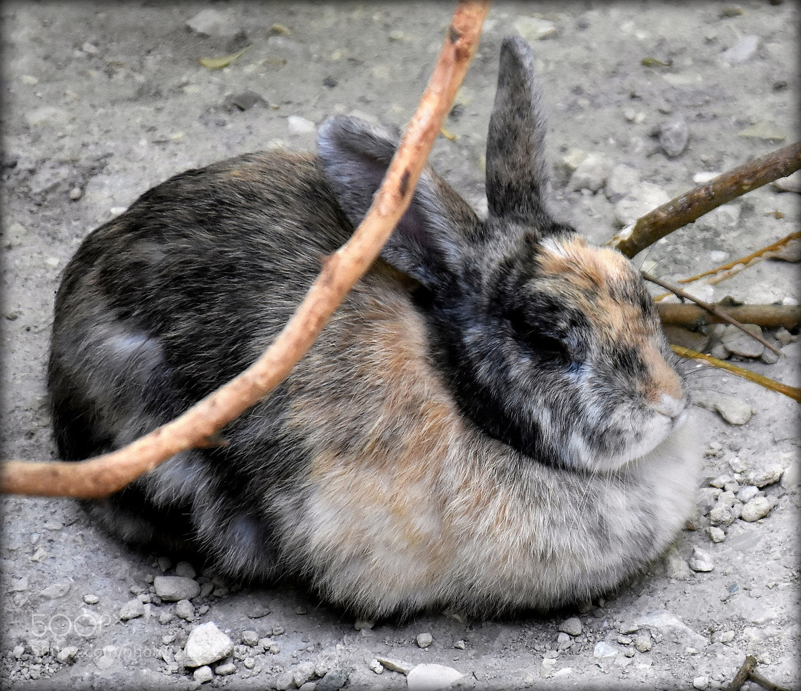 Nikon D7200 sample photo. "wifi" photography