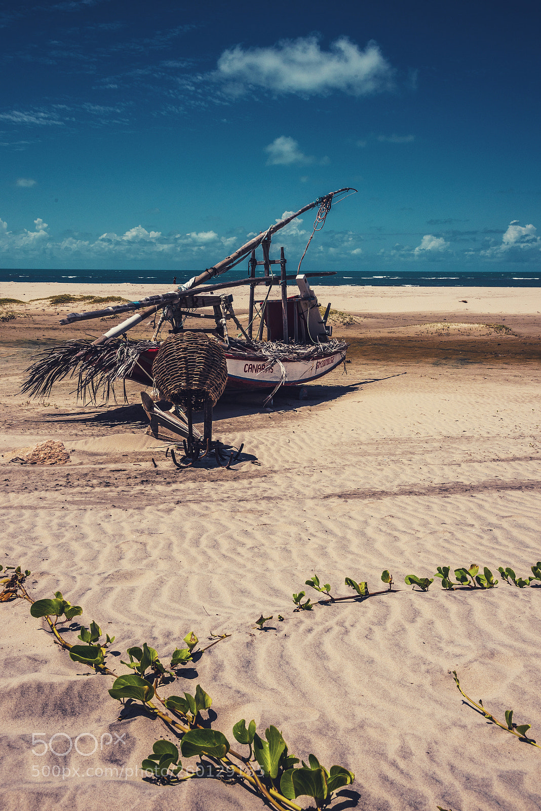 Nikon D750 sample photo. A raft awaits photography