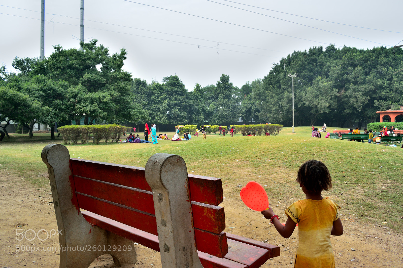 Nikon D5300 sample photo. Ddapark photography
