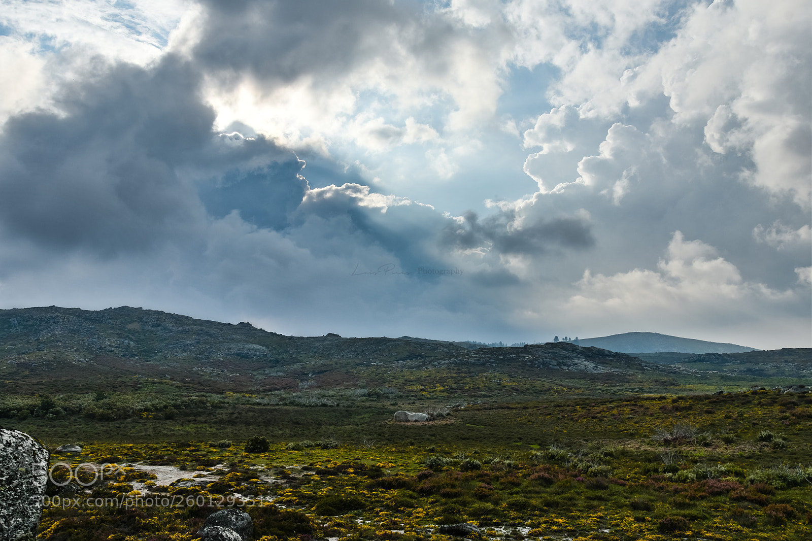 Nikon D7200 sample photo. Moments photography