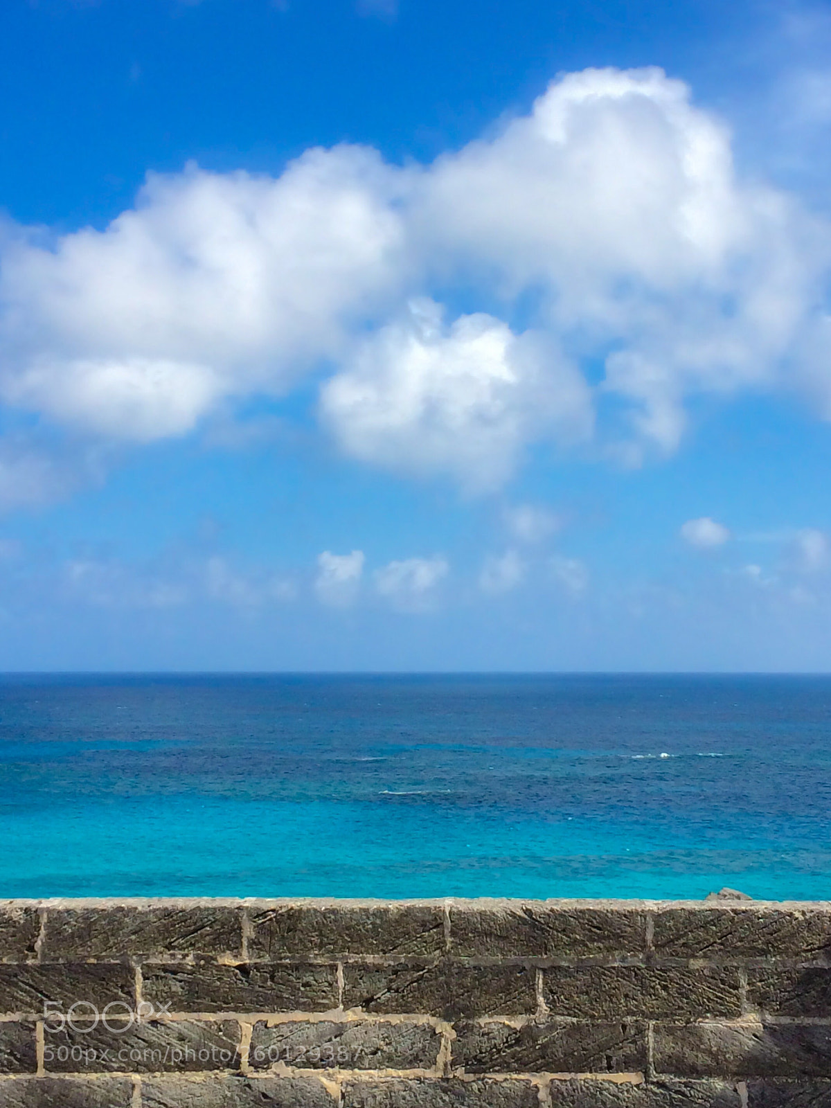 Apple iPhone 5s sample photo. Sargasso sea photography