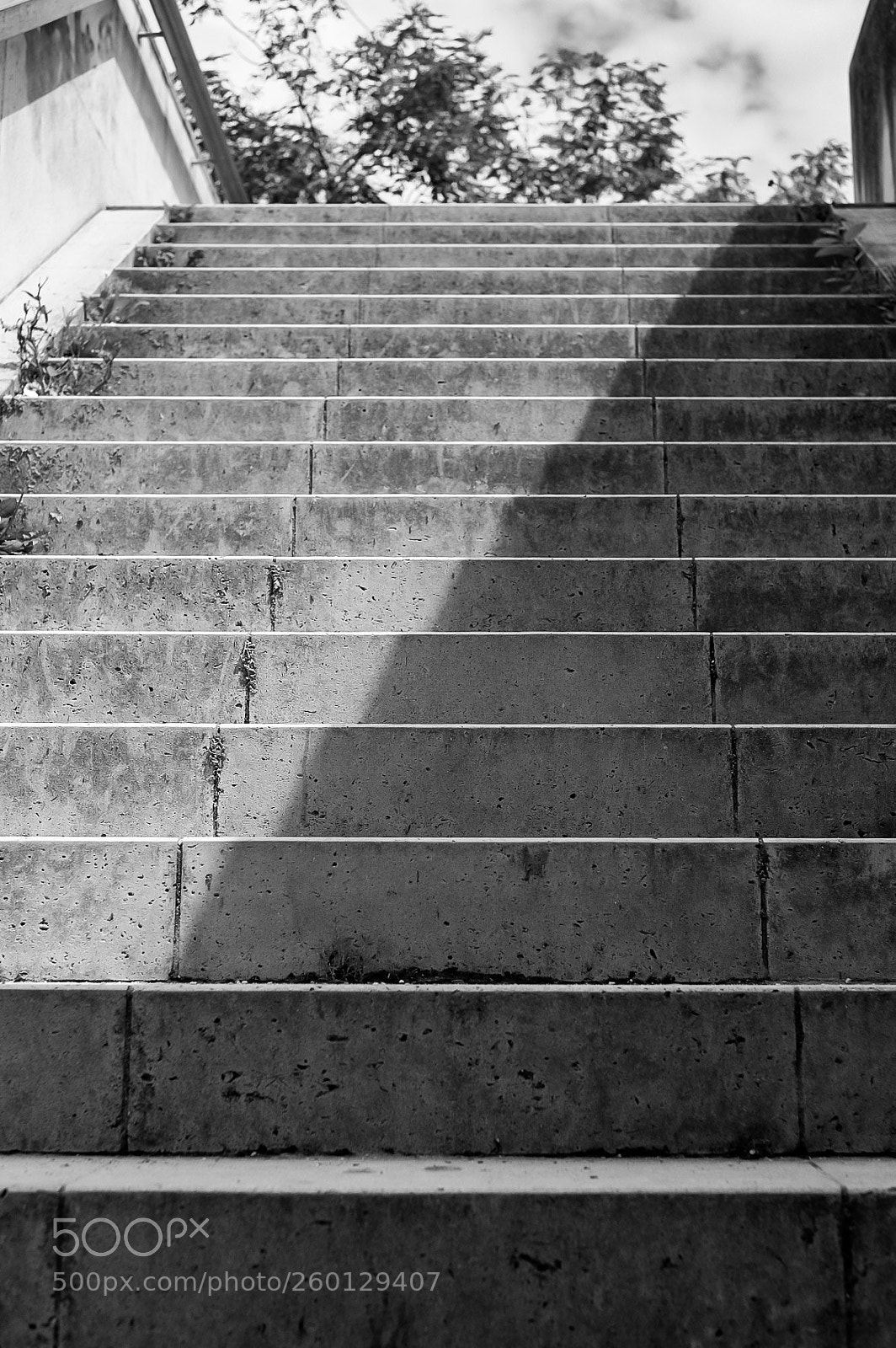 Fujifilm X-T10 sample photo. Untitled photography