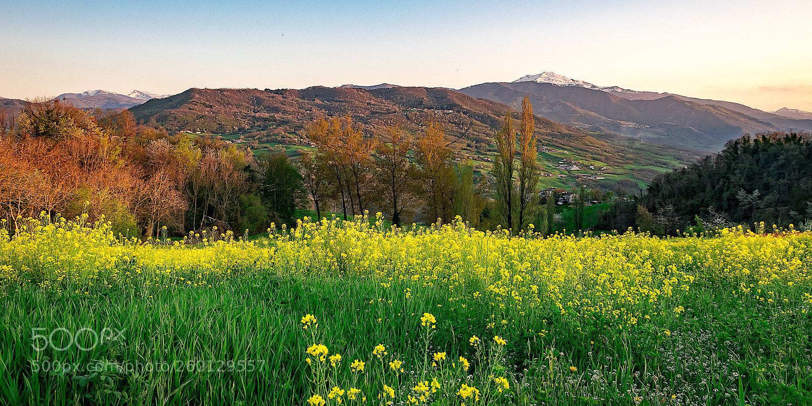 Nikon D5500 sample photo. Close to home 6 photography