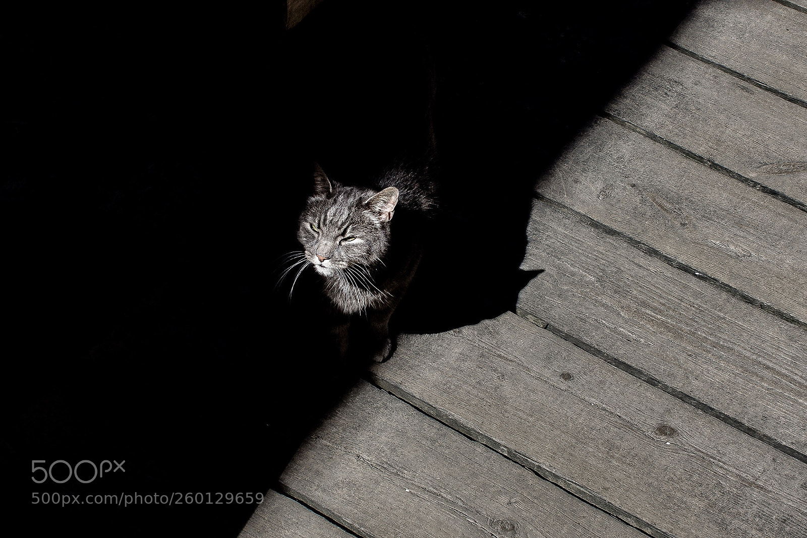 Canon EOS 60D sample photo. Untitled photography