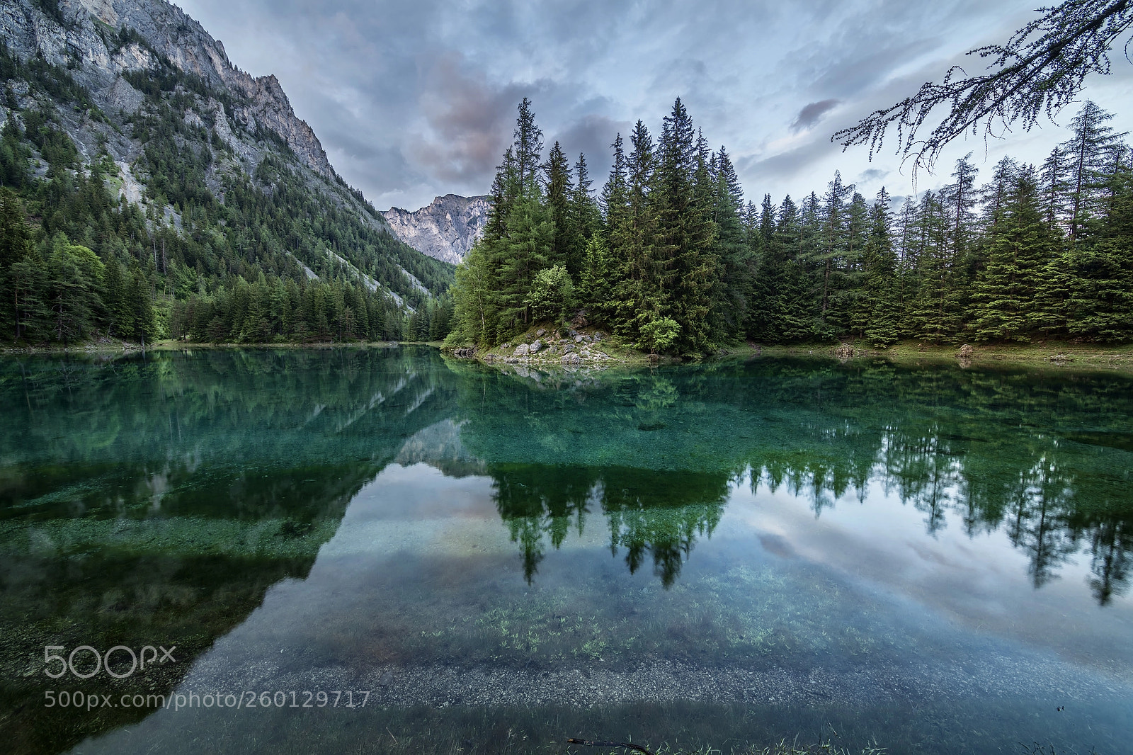 Nikon D850 sample photo. Green lake photography