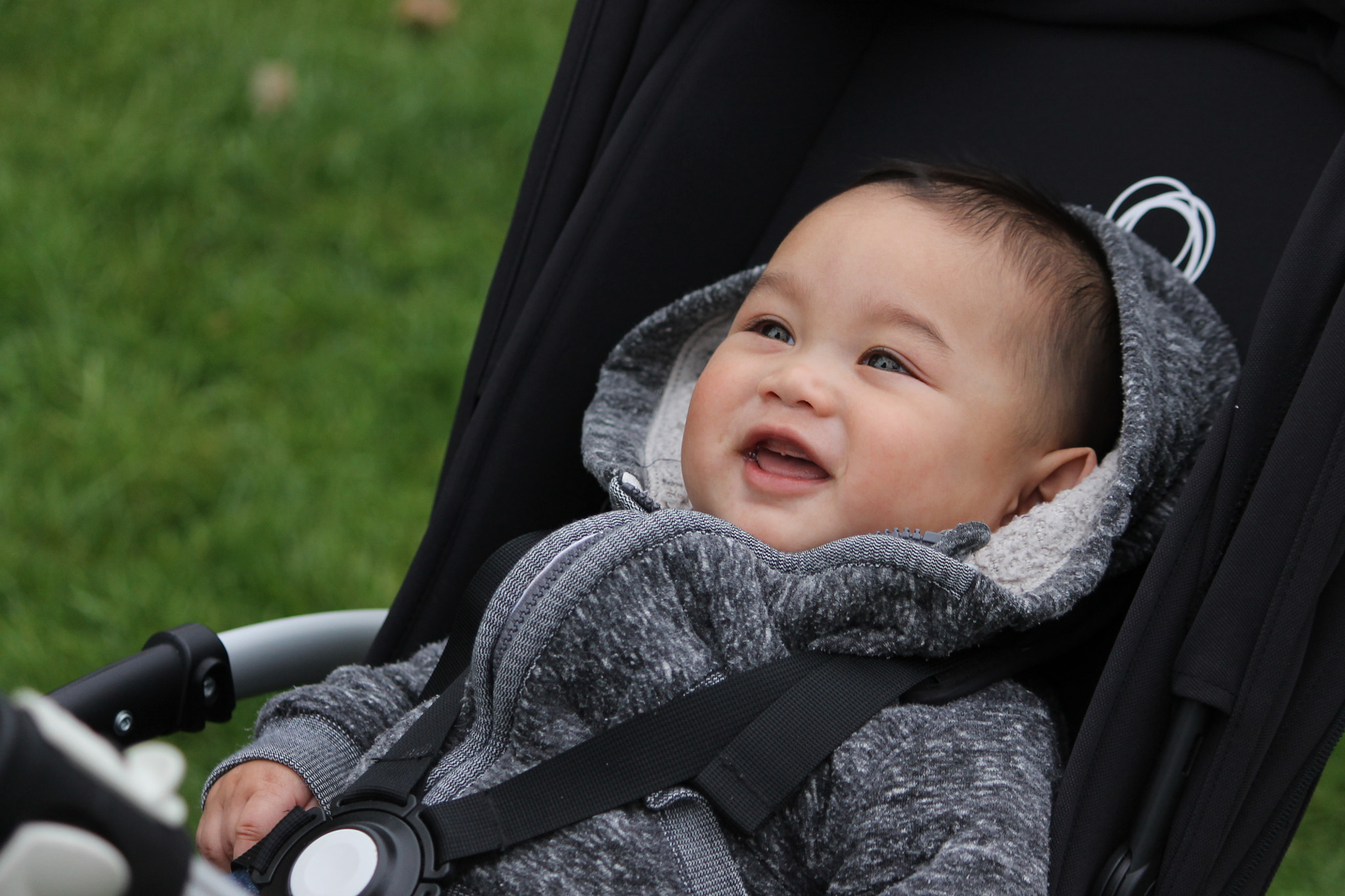 Canon EF-S 55-250mm F4-5.6 IS sample photo. Img photography