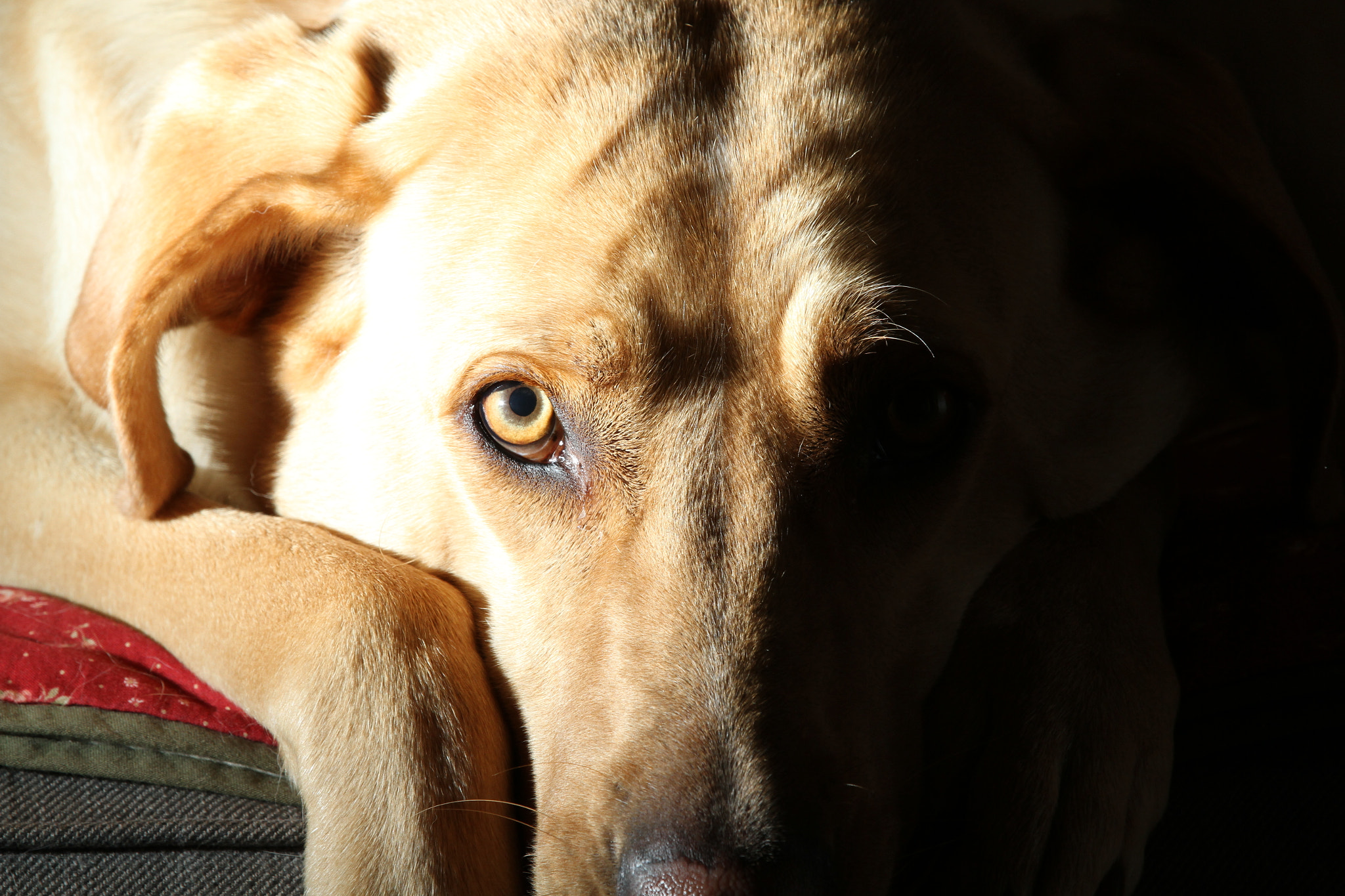 Canon EOS 7D sample photo. Another one. improving photography