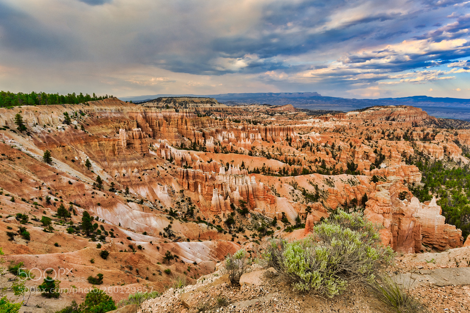 Canon EOS 5D Mark IV sample photo. Bryce canyon 2479 photography