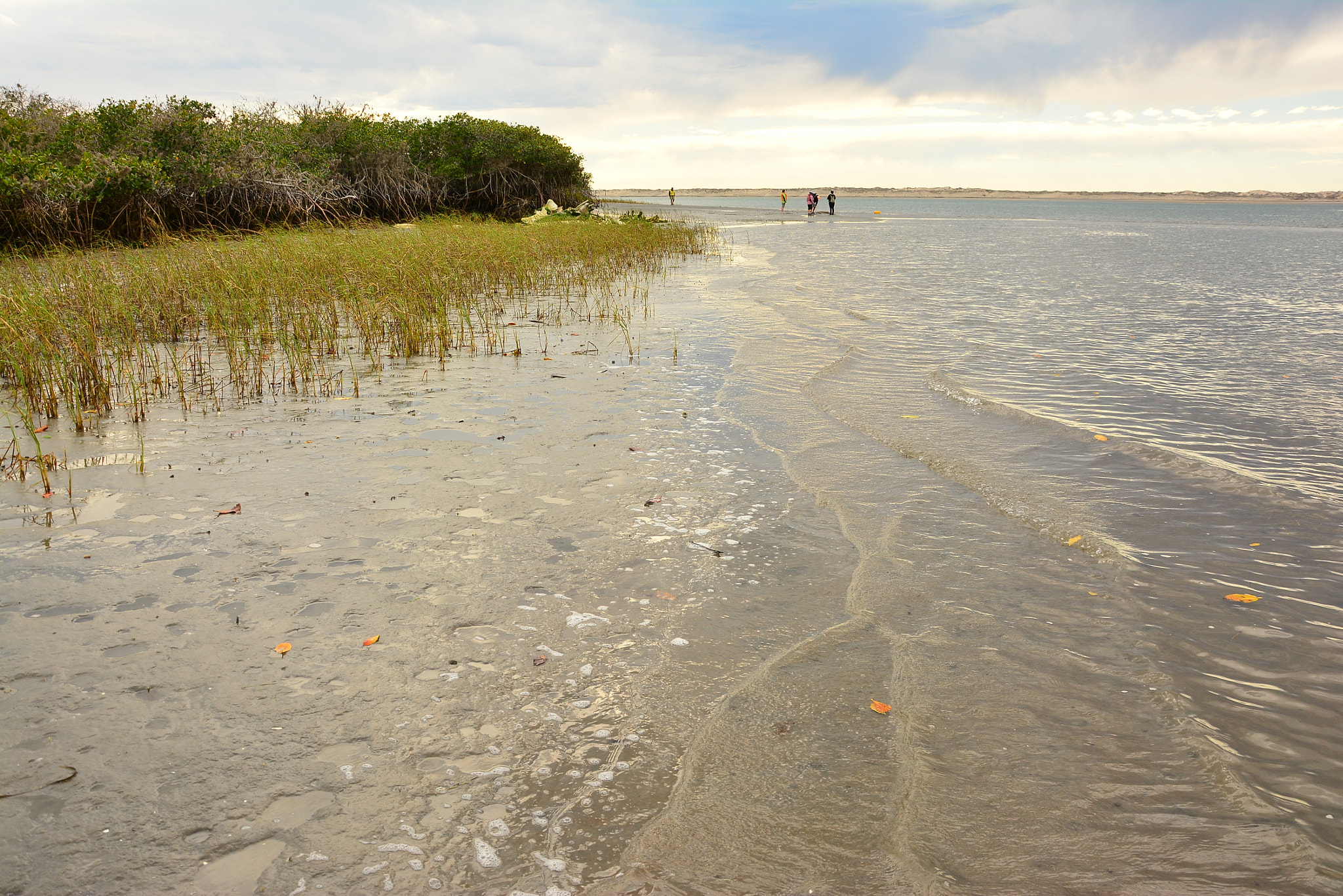 Nikon D7100 sample photo. Very   low  tide  in   magdalena   bay  . photography