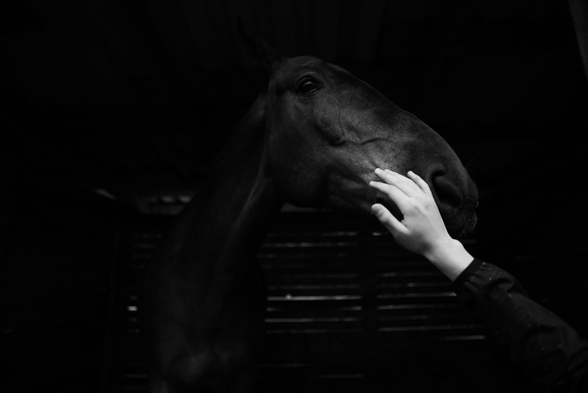 Sony a7S sample photo. 1.jpg photography