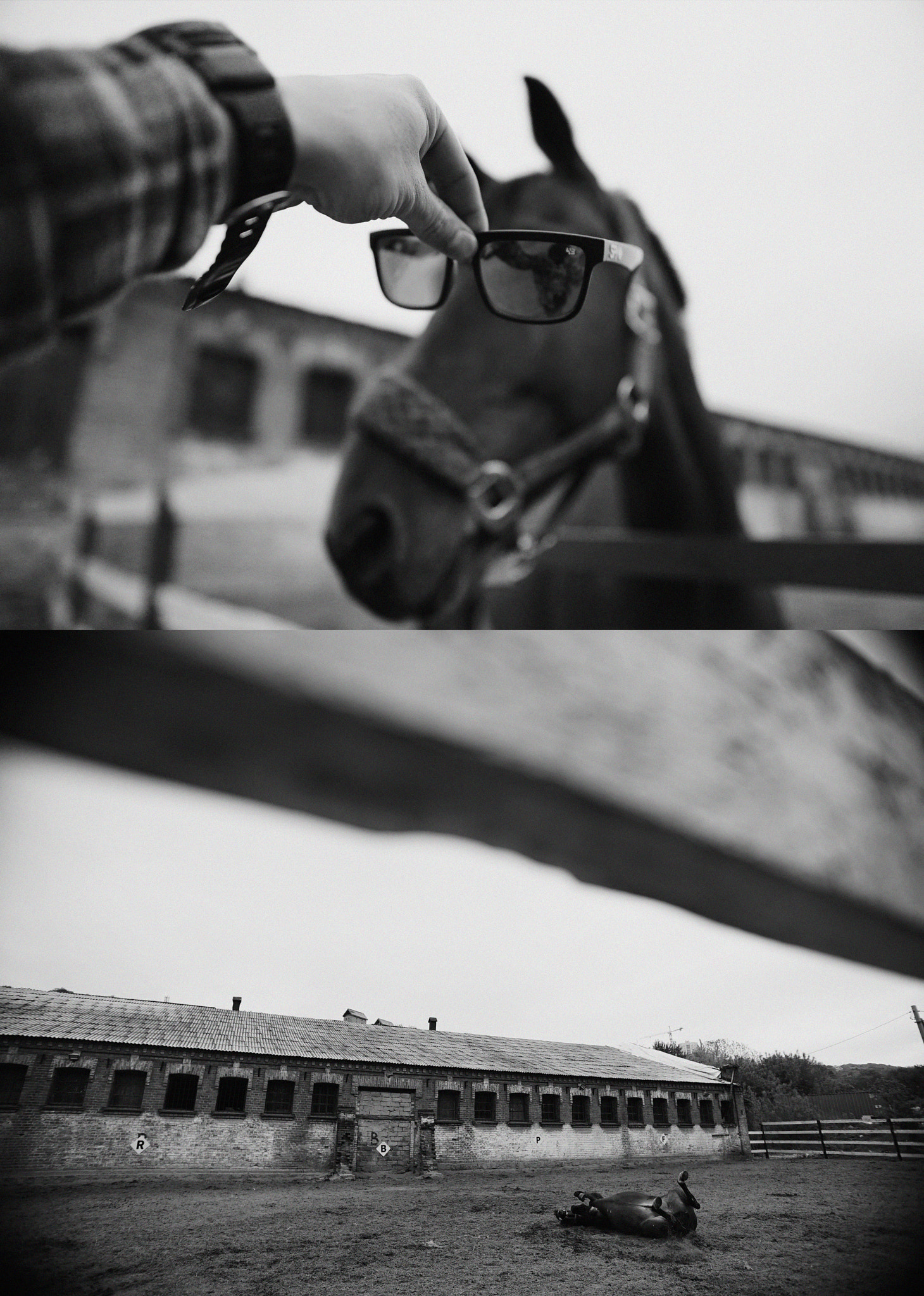Sony a7S sample photo. 3.jpg photography