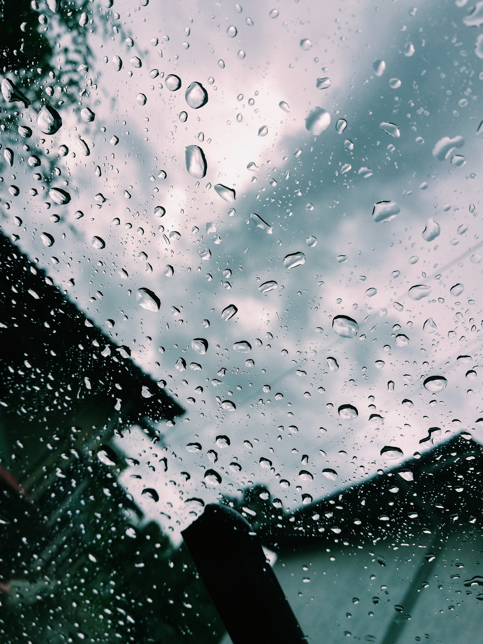 HUAWEI nova 2i sample photo