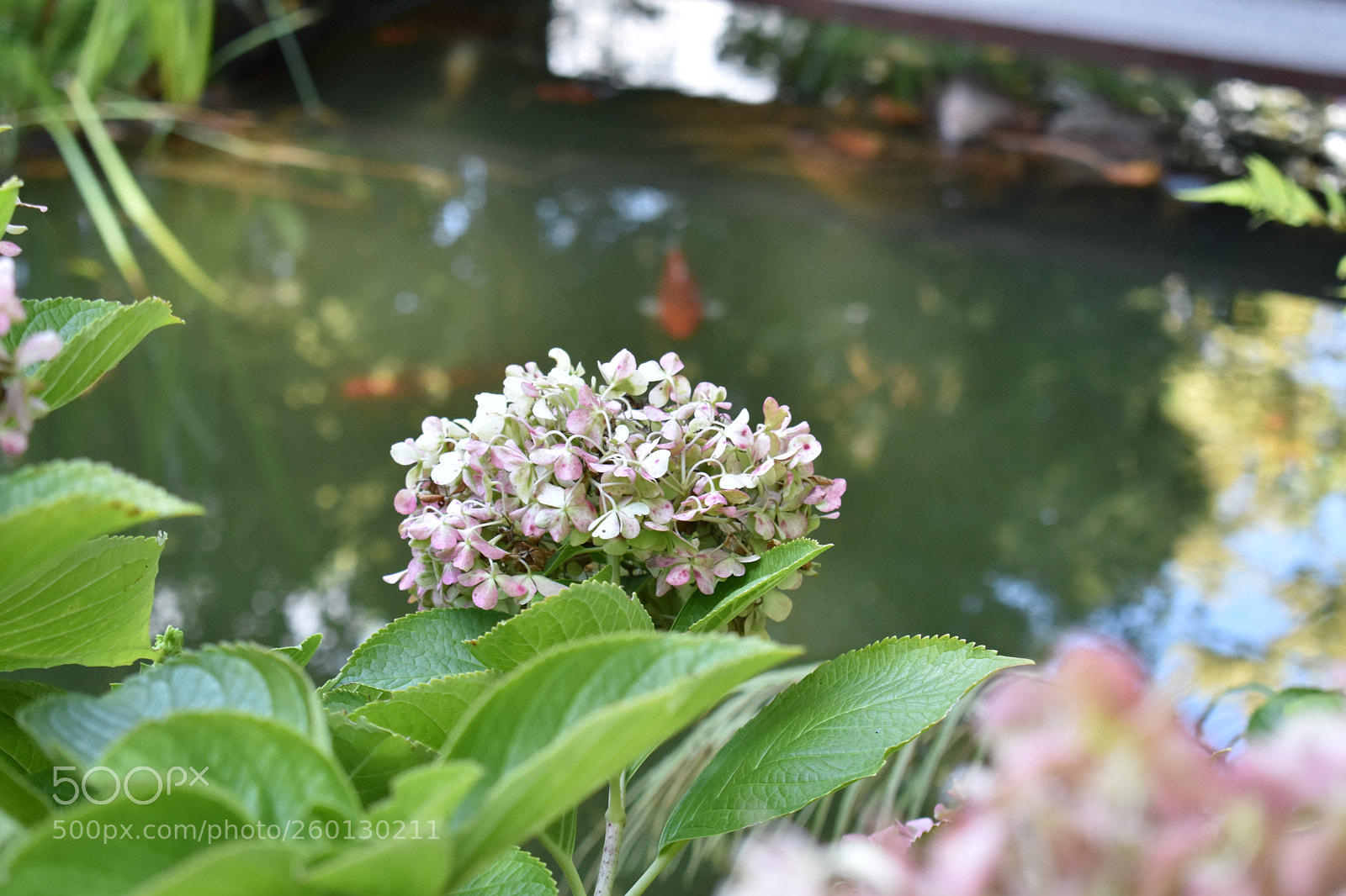 Nikon D3400 sample photo. Dsc photography