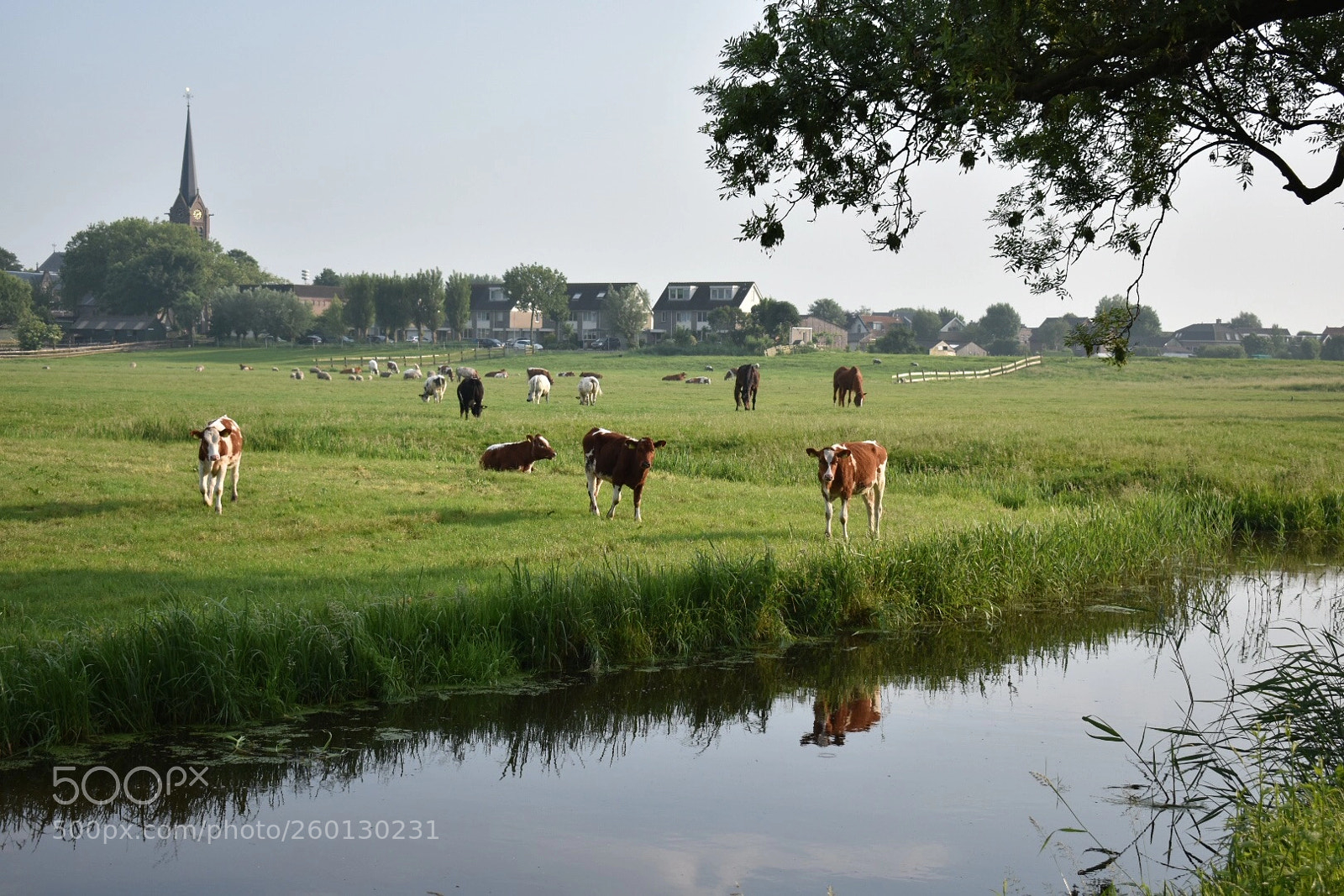 Nikon D3400 sample photo. Stompwijk, holland photography
