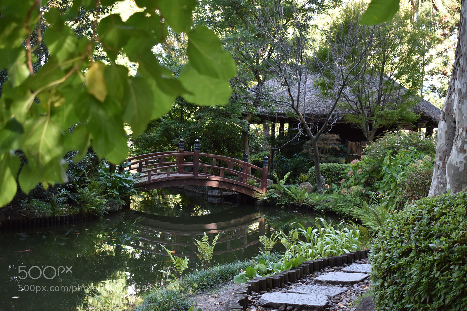 Nikon D3400 sample photo. Dsc photography