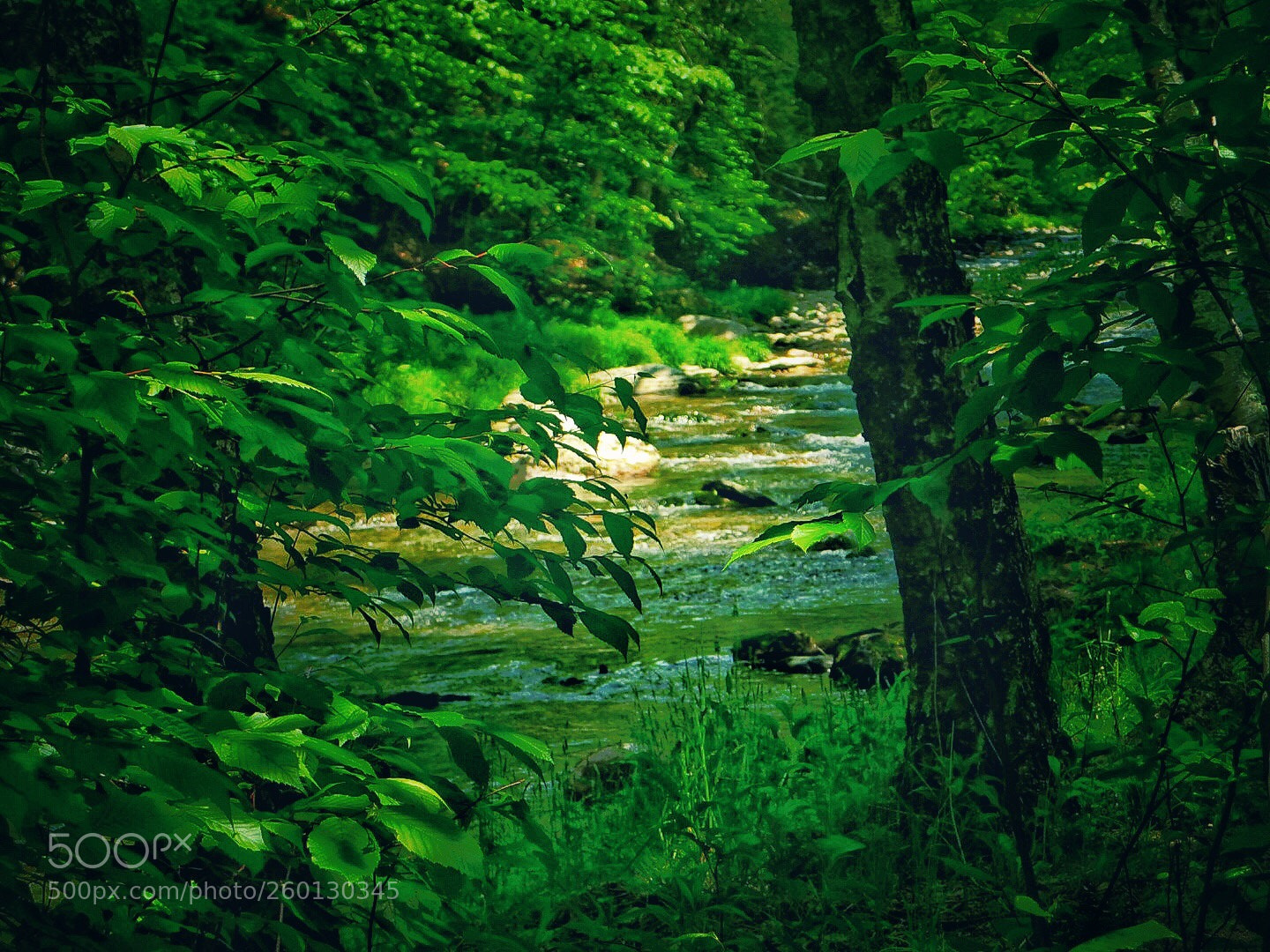 Nikon Coolpix B500 sample photo. Sundown creek photography