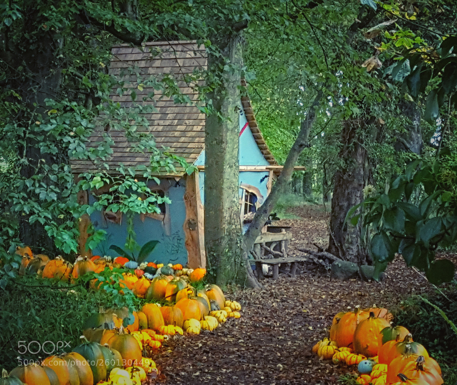 Samsung Galaxy S6 sample photo. The witche's house in photography