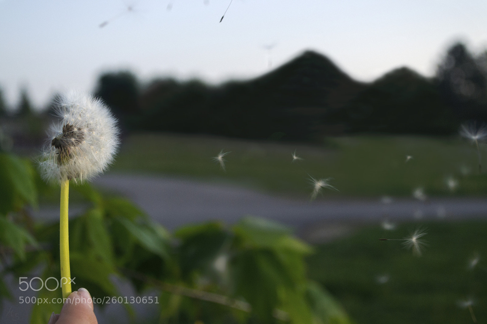 Nikon D3100 sample photo. Wish // motion photography